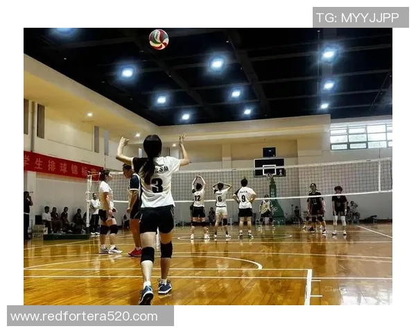 武汉排球队协作能力大幅提升荣获全国排球团队协作排名第一