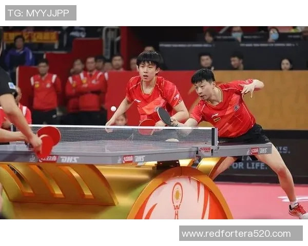深圳乒乓球队总决赛表现分析:个人能力与团队协作的完美结合